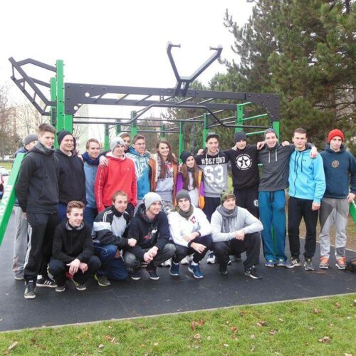 Calisthenics toestel Nippur M 37 De calisthenics toestellen van SKWshop, daar maakt u uw jeugd mee blij.